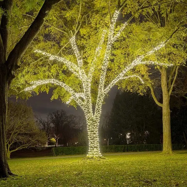 Light Up Nashville — photo from the business 3