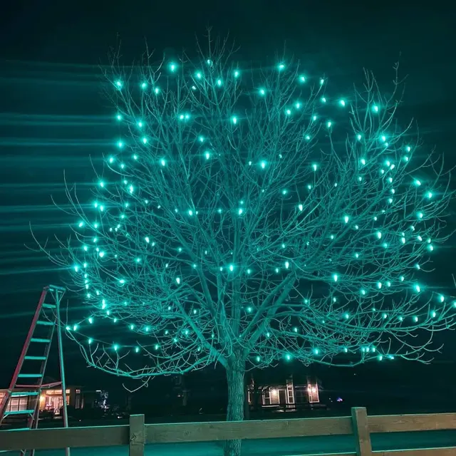 Midas Holiday Lighting TN — photo from the business 8