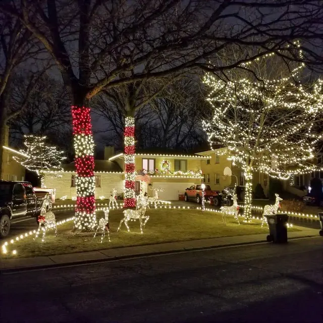 Midas Holiday Lighting TN — photo from the business 6