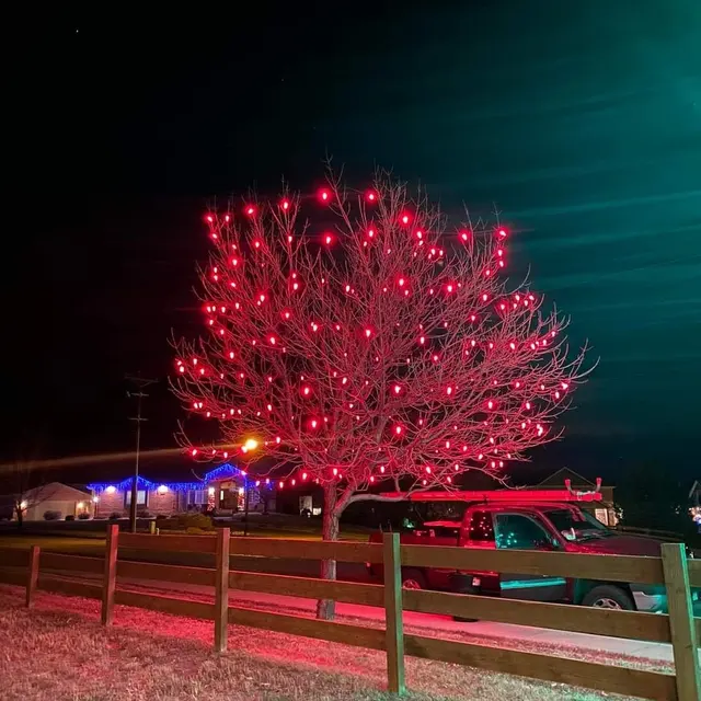 Midas Holiday Lighting TN — photo from the business 3