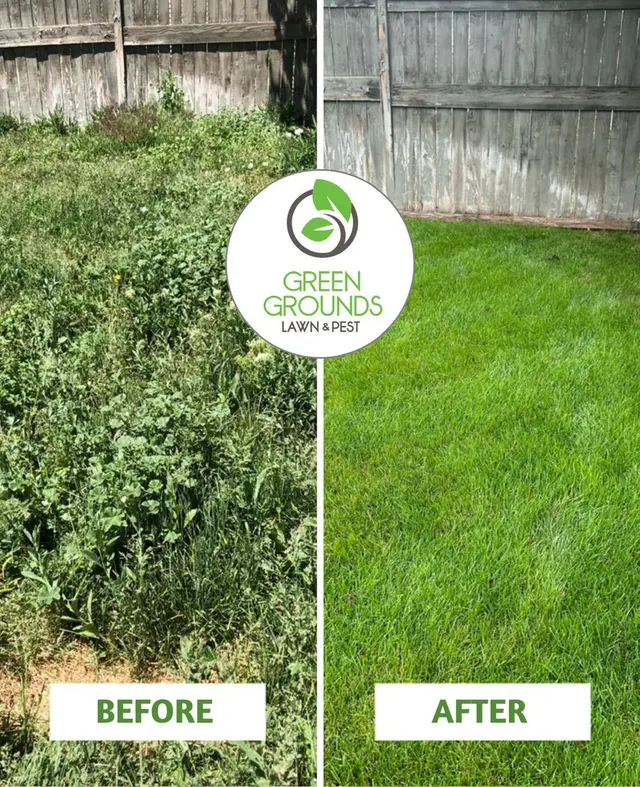 Green Grounds Lawn & Pest — photo from the business 10