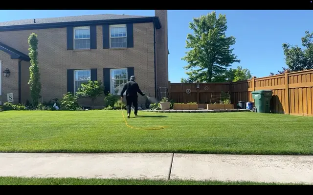 Green Grounds Lawn & Pest — photo from the business 3