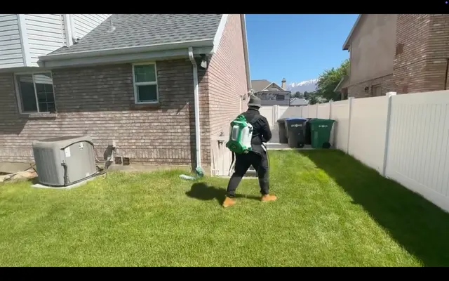 Green Grounds Lawn & Pest — photo from the business 11