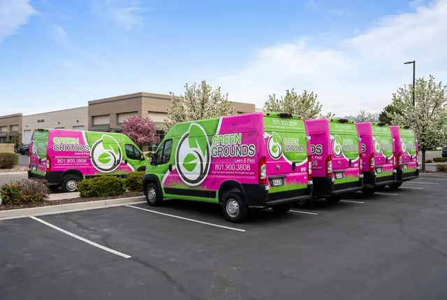 Green Grounds Lawn & Pest — photo from the business 2