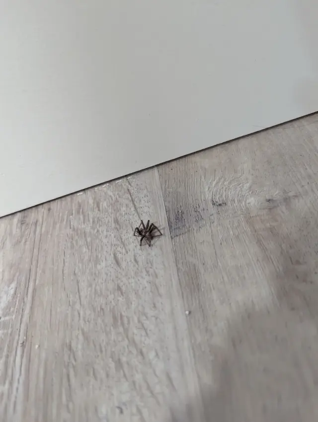 Reynolds Pest Control — customer photo 2