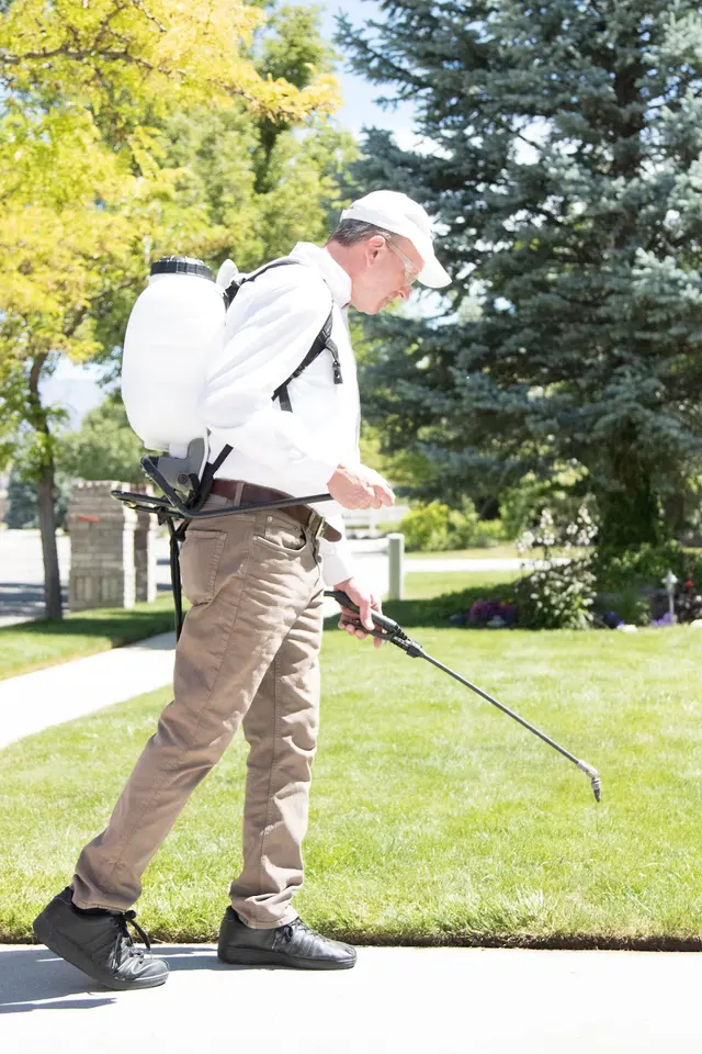 Turbo Pest Control — photo from the business 3