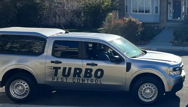 Turbo Pest Control — photo from the business 5