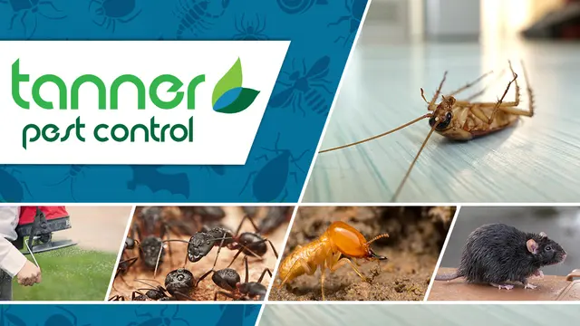 Tanner Pest Control — photo from the business 9