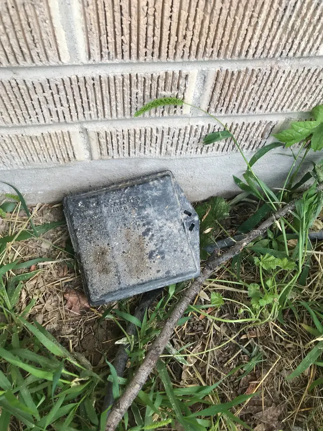 Tanner Pest Control — customer photo 10