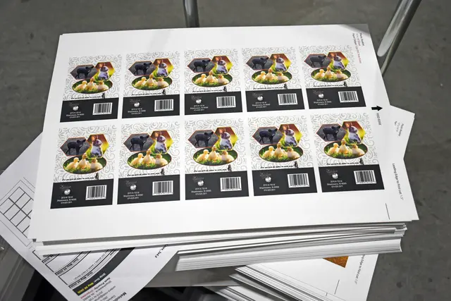 Gold Star Printing — customer photo 11