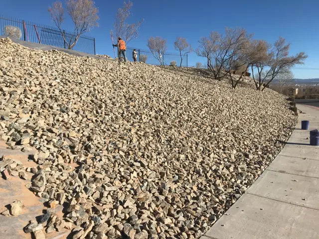 Diaz Landscaping Management — photo from the business 5