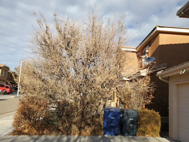 Diaz Landscaping Management — customer photo 11