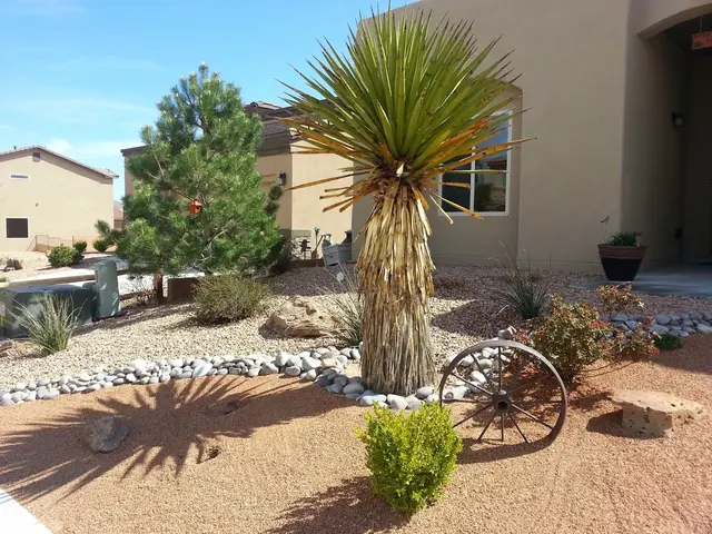 ABQ Landscaping — photo from the business 1