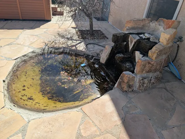 ABQ Landscaping — customer photo 12