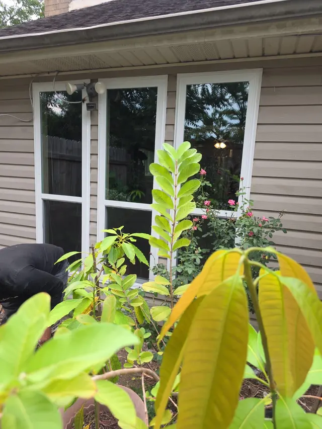 Reliable Windows — customer photo 6