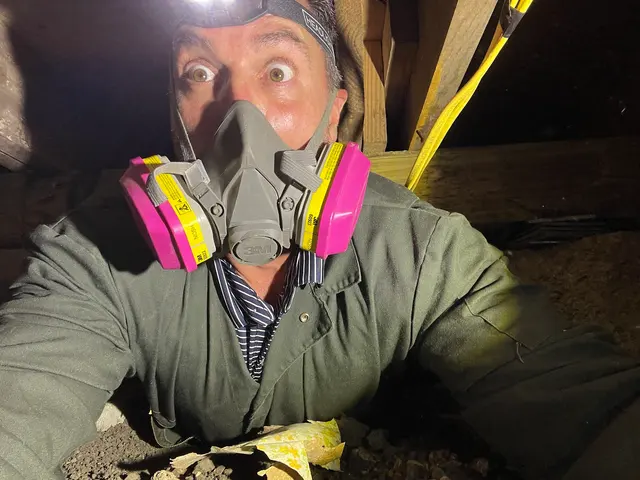 Nest Home Inspections — photo from the business 6