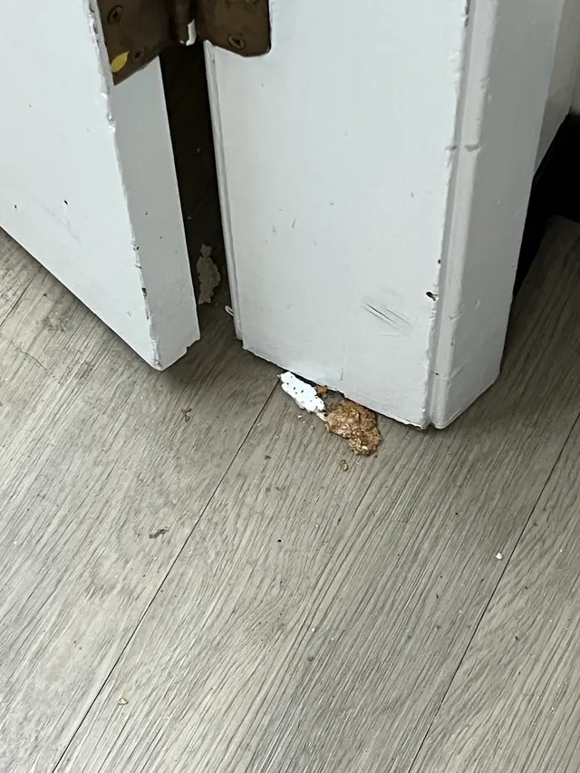 A-Action Realty Inspection Services — customer photo 5