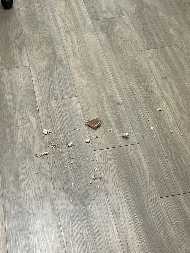 A-Action Realty Inspection Services — customer photo 9