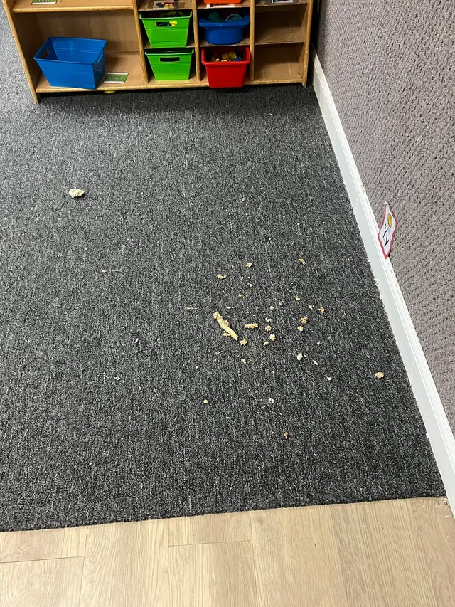 A-Action Realty Inspection Services — customer photo 4
