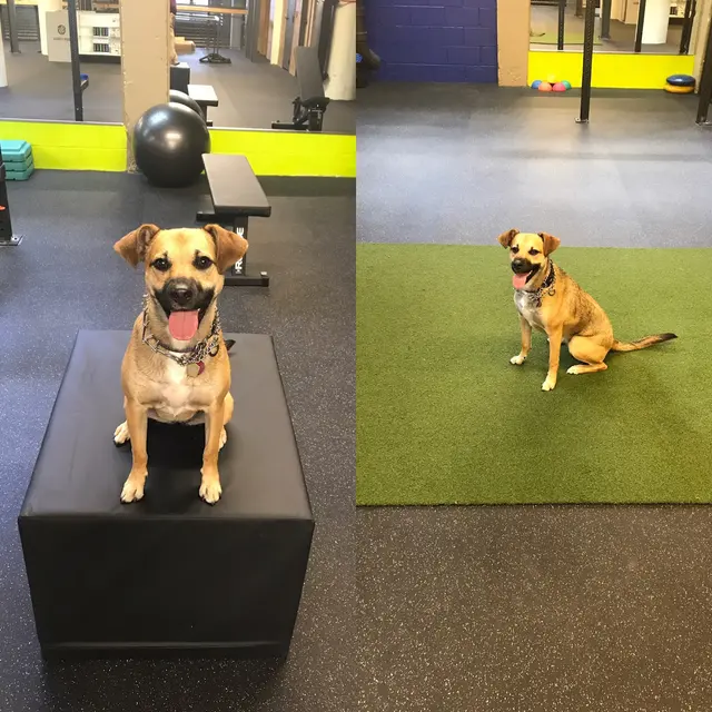 Brew Fitness Milwaukee — photo from the business 12