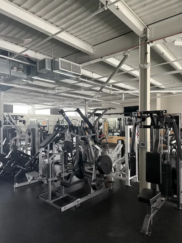MKE Muscle — photo from the business 2