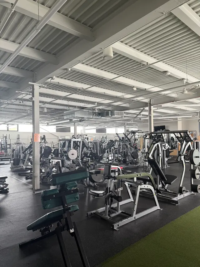 MKE Muscle — photo from the business 1