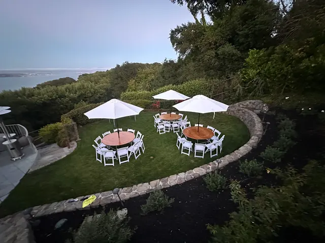 Vargas Event Rentals — photo from the business 3