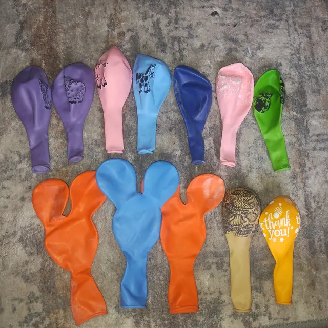 Berkeley Balloons and Events — customer photo 9