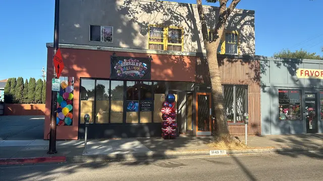 Berkeley Balloons and Events — customer photo 11