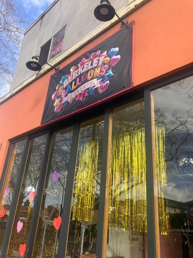 Berkeley Balloons and Events — customer photo 10