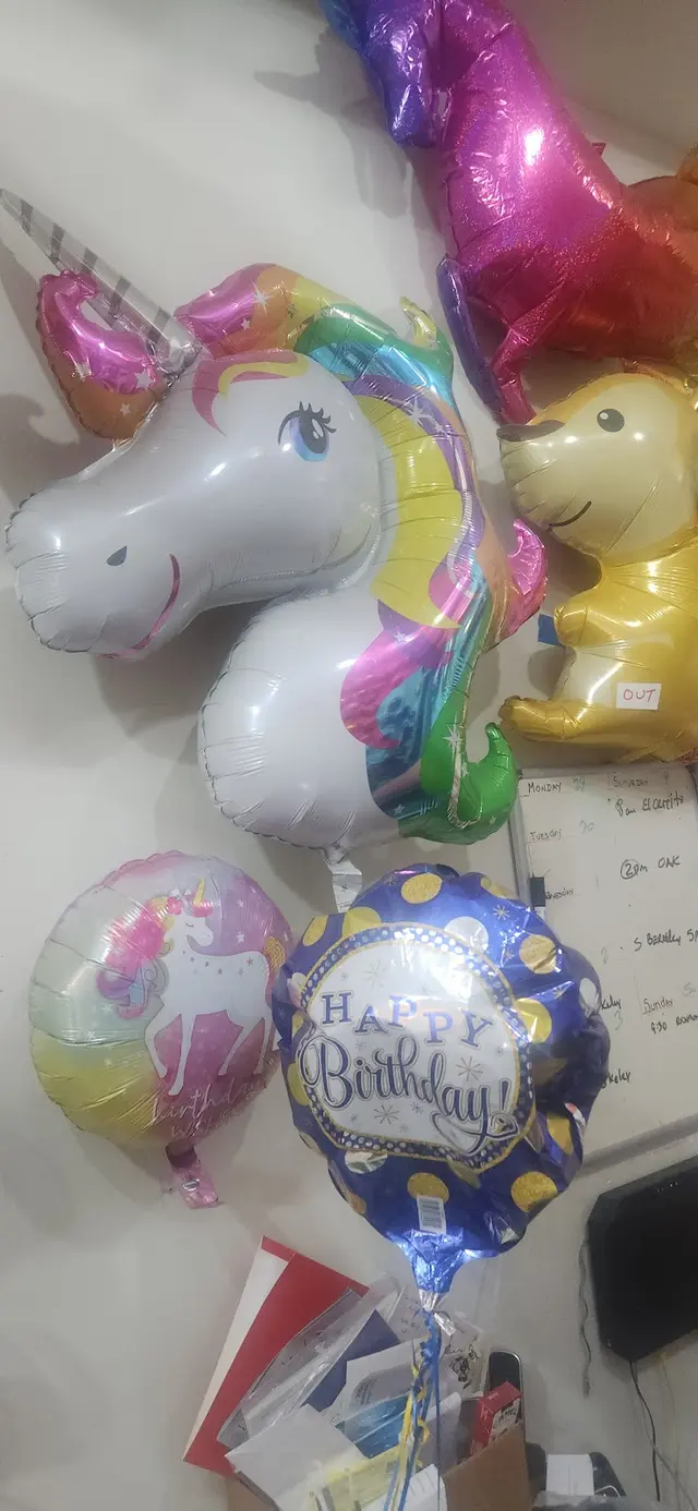Berkeley Balloons and Events — customer photo 8