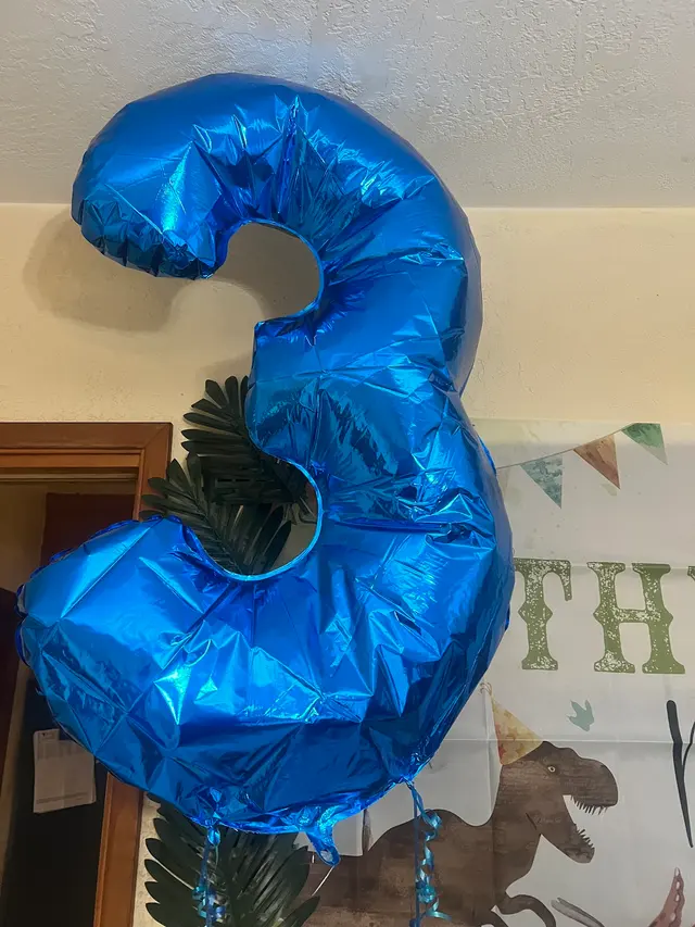 Customer photo of work by Berkeley Balloons and Events, from Yangzom Dolma Gesar's review