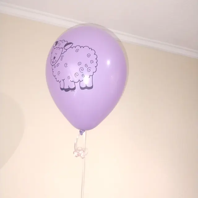 Customer photo of work by Berkeley Balloons and Events, from Aj Zurc's review