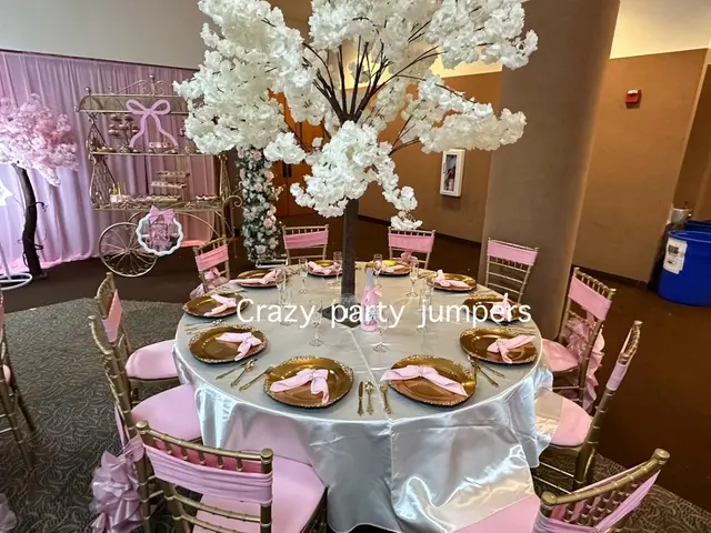 Crazy Party Jumpers — photo from the business 4