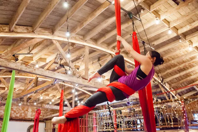 The Aerial House — photo from the business 8