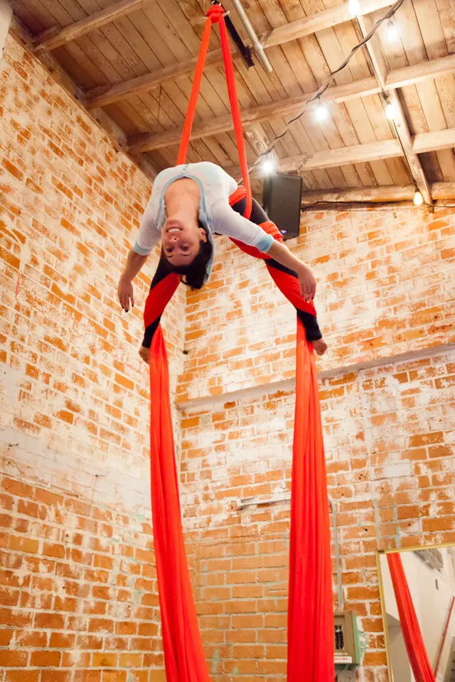 The Aerial House — photo from the business 6