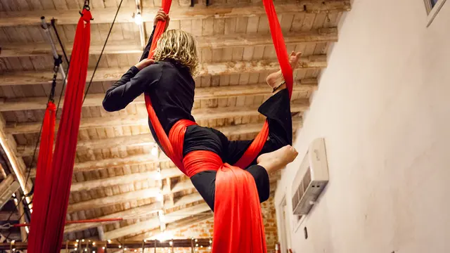 The Aerial House — photo from the business 3