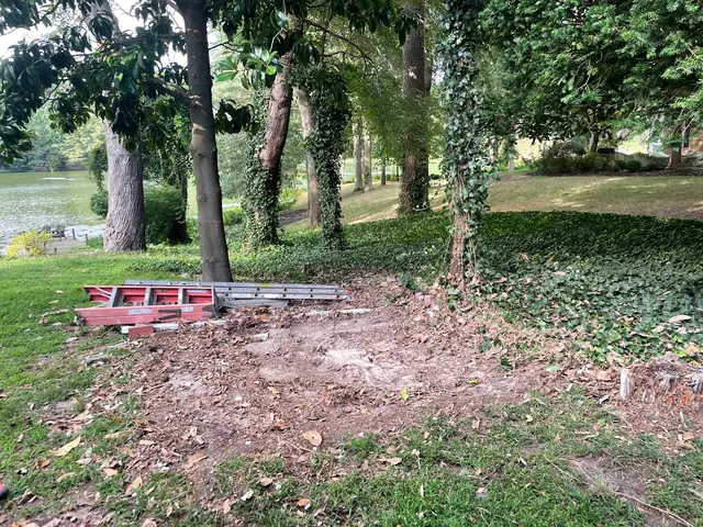 To the Max Junk Removal — photo from the business 4