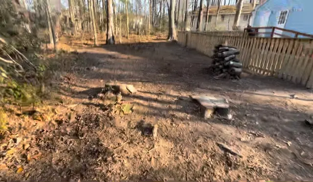 To the Max Junk Removal — customer photo 7