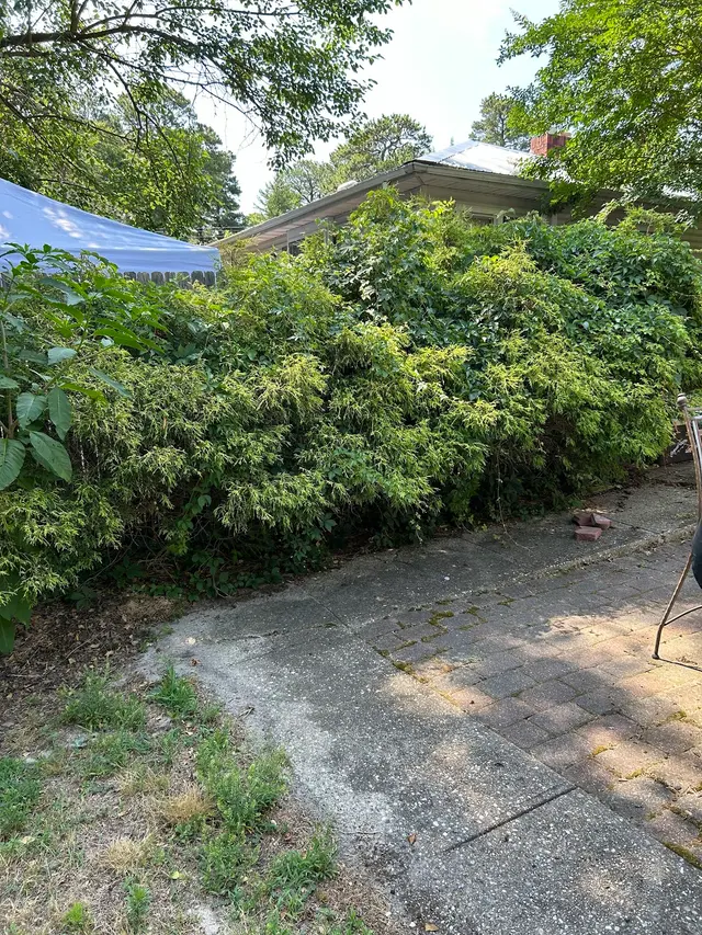 To the Max Junk Removal — customer photo 12