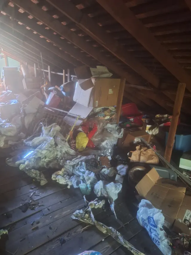 Fast junk pickup and demolition LLC — photo from the business 2