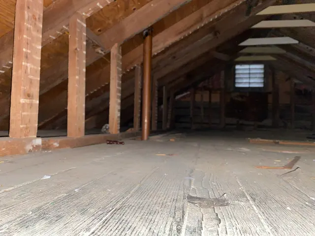 Elisha Junk Removal & Demolition LLC — photo from the business 5