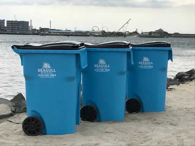 Seagull Disposal — photo from the business 3