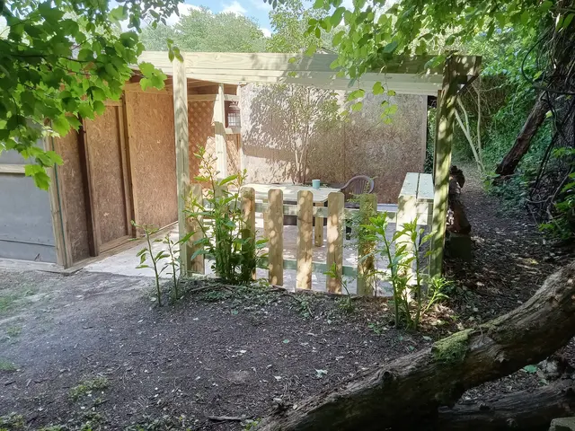 Seagull Disposal — customer photo 8