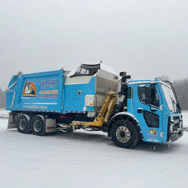 Seagull Disposal — photo from the business 2
