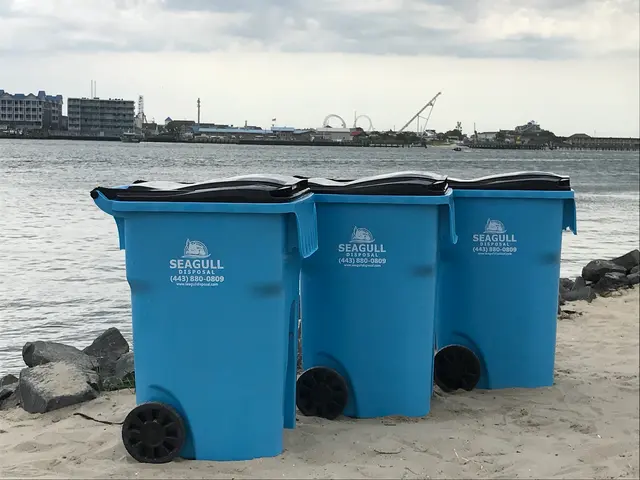 Seagull Disposal — photo from the business 10