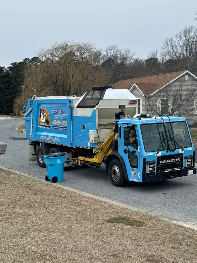 Seagull Disposal — photo from the business 1