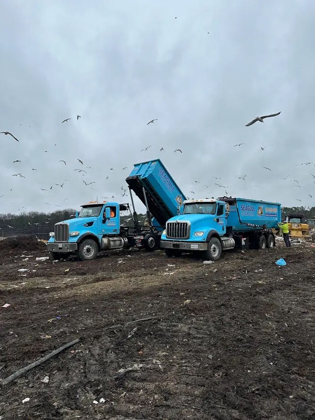 Seagull Disposal — photo from the business 4
