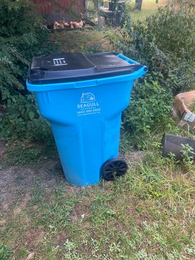 Seagull Disposal — customer photo 6