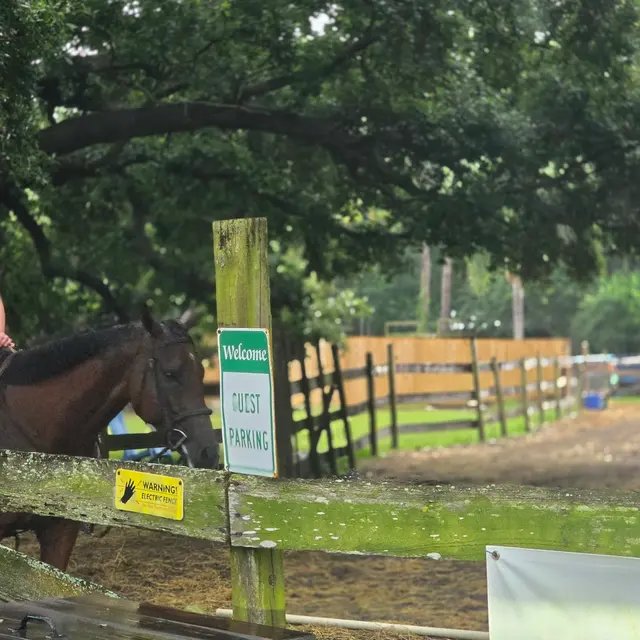 Ruxton's Ranch Rides — customer photo 8